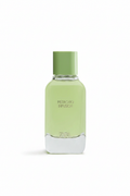 Pistachio Infusion - Fond blanc